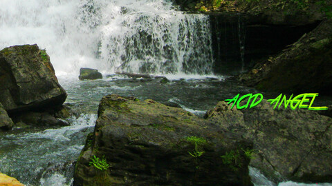 Header of acidangel666