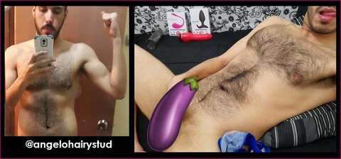 Header of angelohairystud