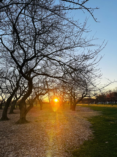 asimina onlyfans leaked picture 1