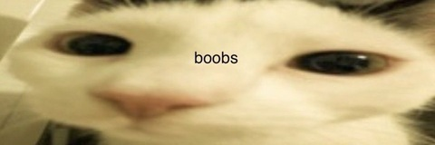 Header of bigtitscutelips