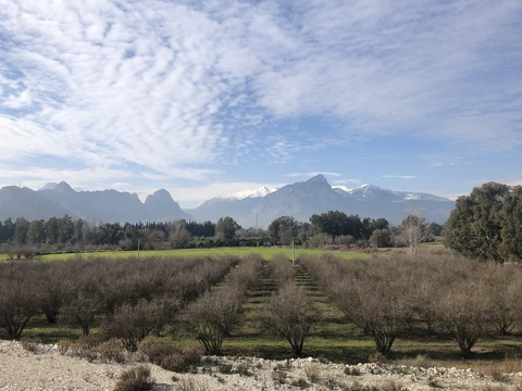 Header of bisex_antalya