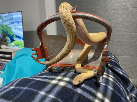 Header of bobby161189