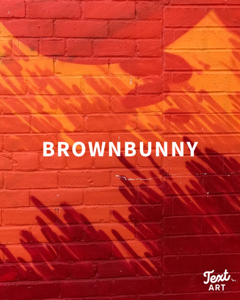 Header of brownbvnny