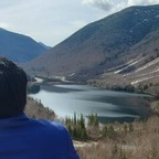 bulldjoker (Bd) OnlyFans content 

 profile picture