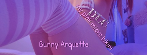 Header of bunnyarquettefree