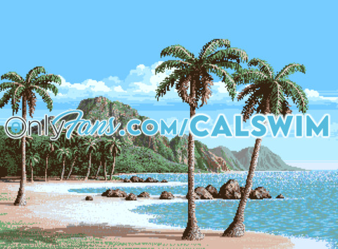 Header of calswim