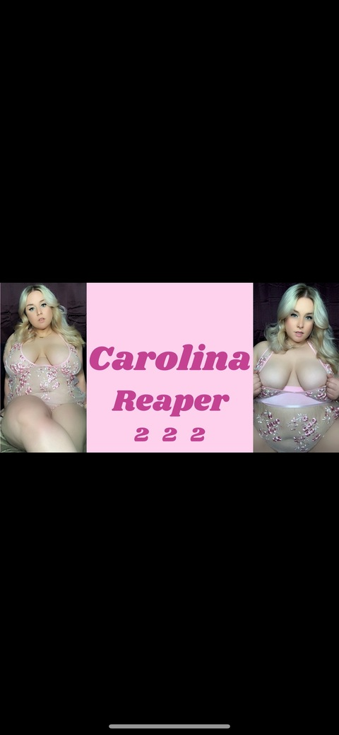 Header of carolinequinnx