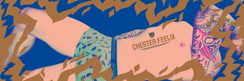 Header of chesterfeelix