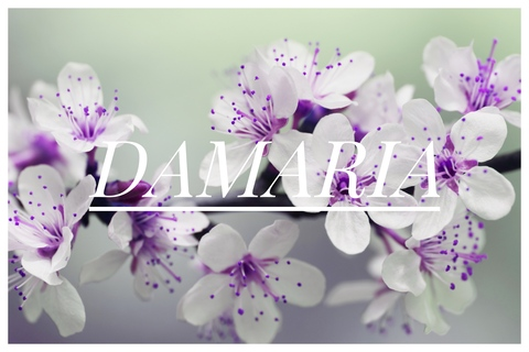 Header of damariagrace