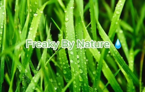 Header of divine_nature_freak