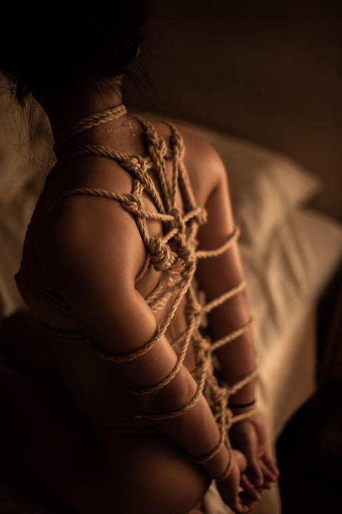 Header of doll97china