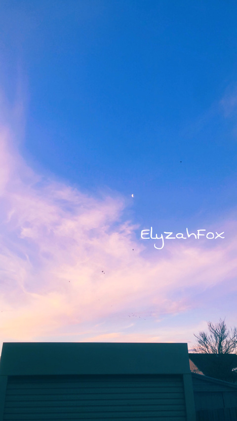 Header of elyzahfox