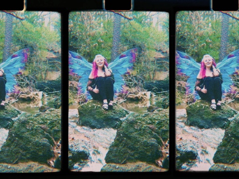 Header of faerieslut