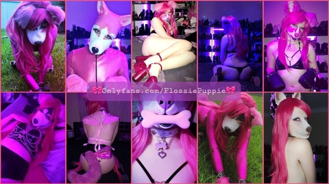 Header of flossiepuppie