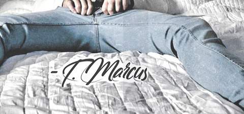 Header of funwithmarcustaylor