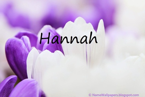 Header of hannahxoxo