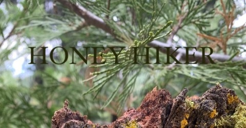 Header of honeyhiker