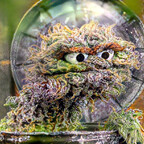 Download honeynugs OnlyFans content free 

 profile picture