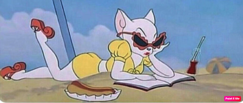 Header of hongkongkitten