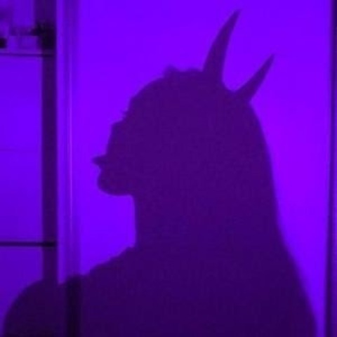 Header of itty_bitty_katy20