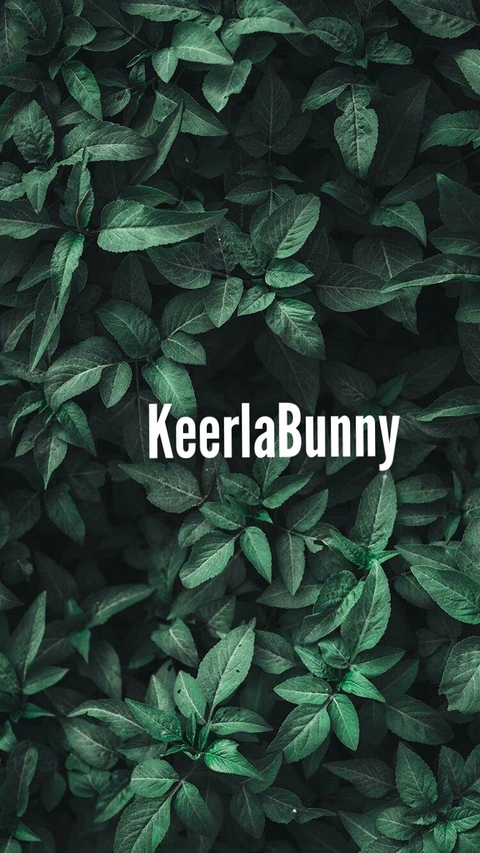 Header of keerlabunny