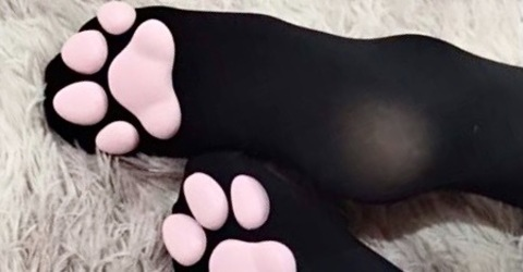 Header of kittyfeetsxo