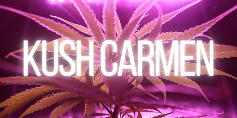 Header of kushcarmen