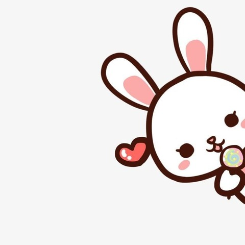 Header of lilbunny5