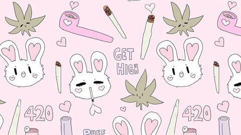 Header of lildragongomeow