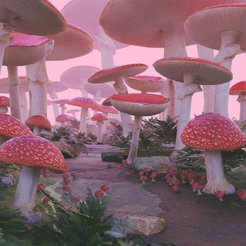 Header of littlestmushroom