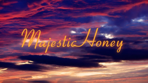 Header of majestichoney