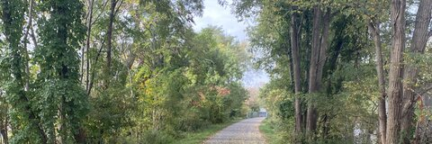 Header of michelleybutton