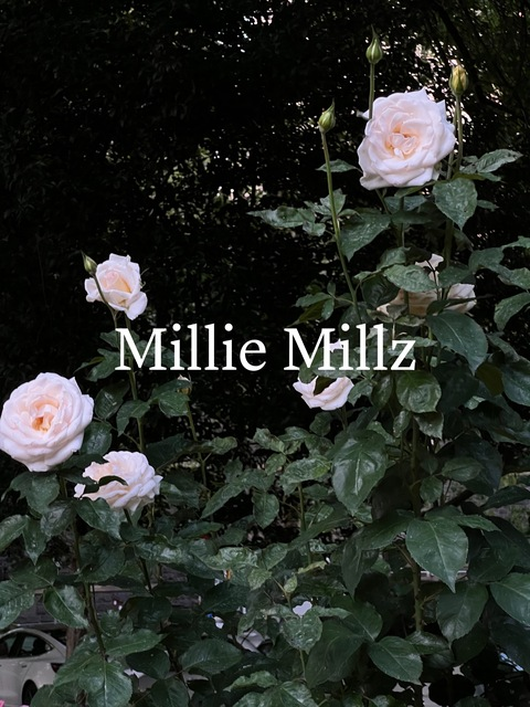 milliemillz onlyfans leaked picture 1