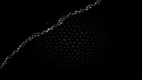 Header of morgan-white