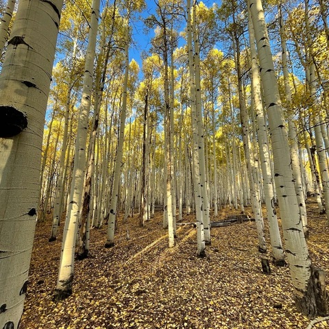 Header of nakedmountainman