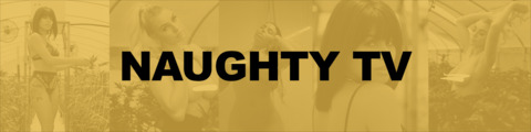 Header of naughtytelevision