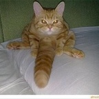 neglectedcock1 OnlyFans Leak (49 Photos and 32 Videos) 

 profile picture