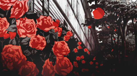 Header of nixie.rose