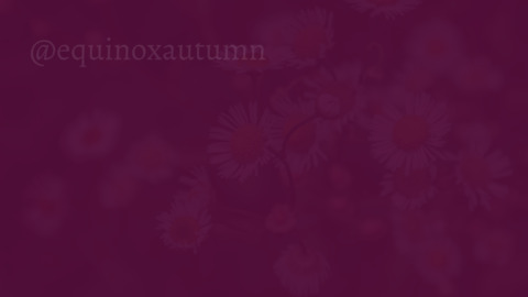 Header of noxatnight