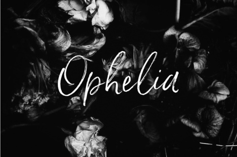 Header of o.ophelia