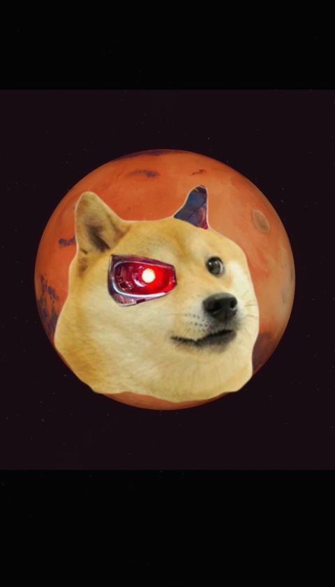 Header of ofdoge