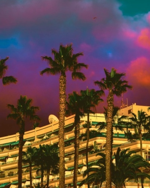 Header of onlywayisallie