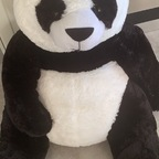 pandasticpron OnlyFans Leak 

 profile picture