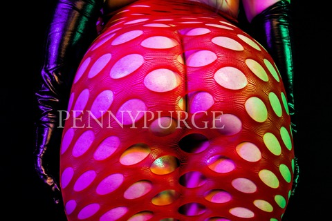 Header of pennypurge