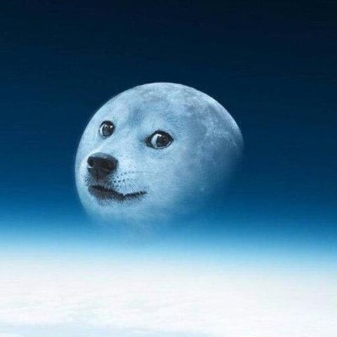 phila001 onlyfans leaked picture 1