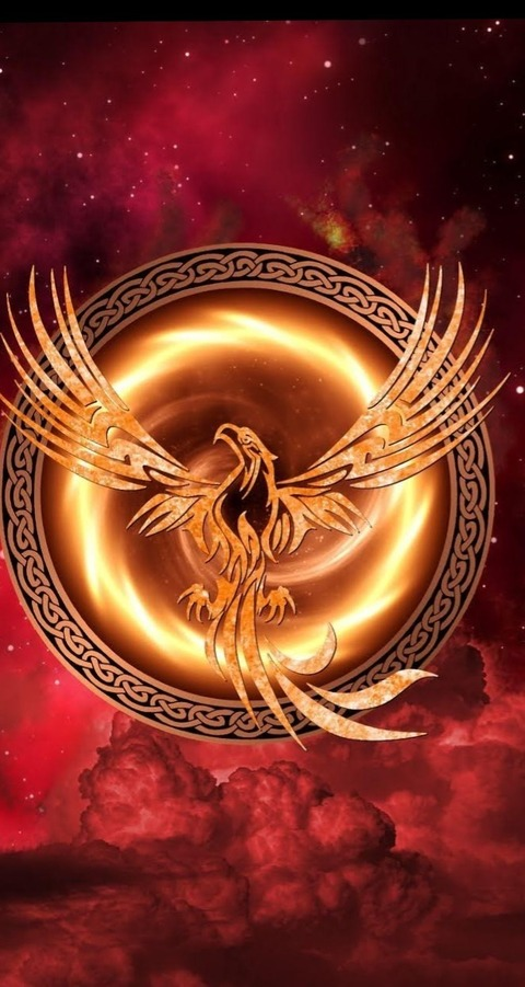 Header of phoenixlv