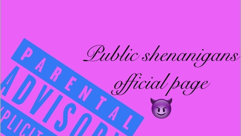 Header of publicshenanigans