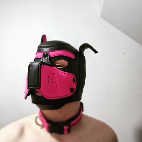 pup_dipstick onlyfans leaked picture 1