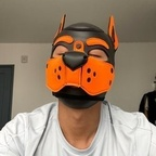 pup_rawuu OnlyFans Leaked Photos and Videos 

 profile picture