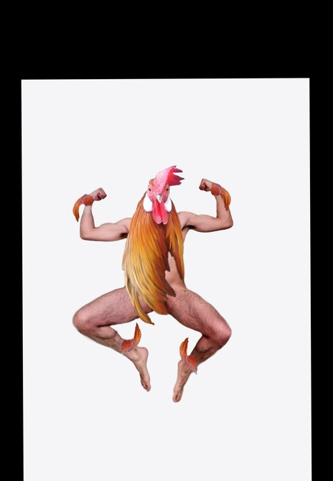 rooster2019 onlyfans leaked picture 1